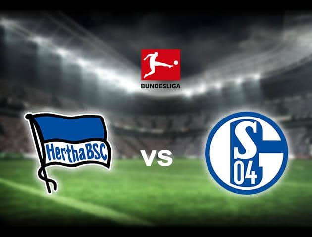 Soi kèo nhà cái Hertha Berlin vs Schalke 04, 1/02/2020 - VĐQG Đức